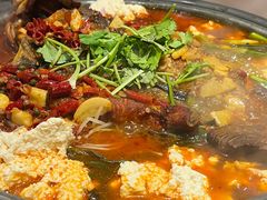 -川味堂·四川豆花(八卦岭店)