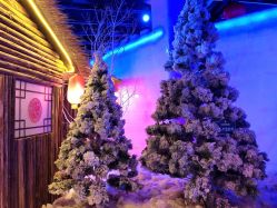 -圣名游乐城冰雪大世界
