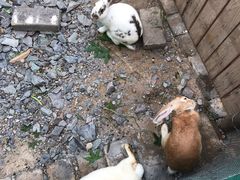 -西部长青自然儿童乐园