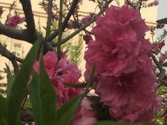 -一品滇香·云南菜(公益西桥店)