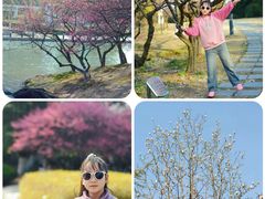 -白塘生态植物园