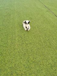 -萌宠亲子动物乐园(槐房万达店)