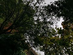 -青城道汤池