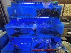 -韩妹鱼庄·泸定老字号(泸定店)