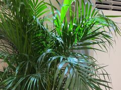 -五代同糖·甜品糖水店(河下古镇店)