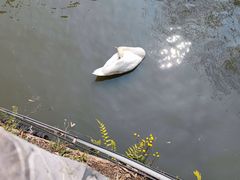 -黔灵山公园