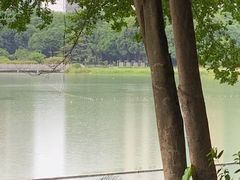 -南宁南湖公园