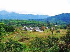 -塔川景区