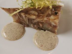 -蝶舍·MAISON PAPILLON