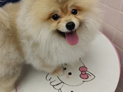 -FAELING PETS美天灵宠物(富力广场店)