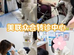 -美联众合动物医院·24h转诊中心