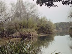 -杭州西溪宾馆-松露西餐厅