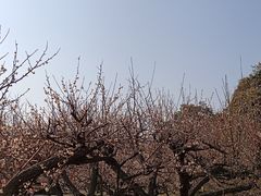 -白马涧龙池景区