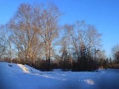 -北极村旅游风景区