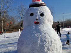 -北京亚布洛尼朝阳公园滑雪场