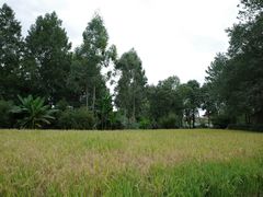 -中国天府农业博览园