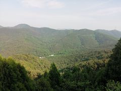-金龙寺国家森林公园