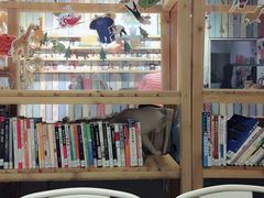 -小时光咖啡馆(开森度假森林店)