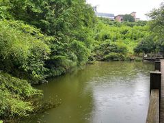 -江南天池