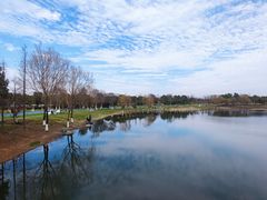 -贡湖湾湿地公园