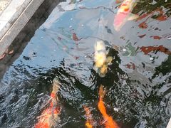 -西安市广仁寺