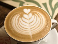 -樹下遇见树·咖啡