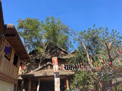 -西双版纳原始森林公园