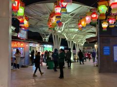 -锦江乐园舞狸花花游园会(夜场专享)