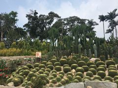 -胡里山炮台