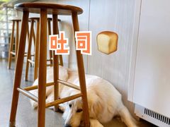 -尤加利咖啡馆