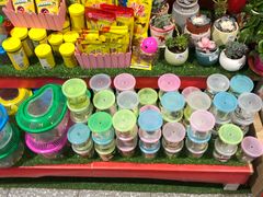 -物美超市(金宝街店)