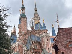 -上海迪士尼度假区