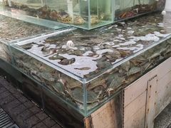 水产区-福春大市场水产厅