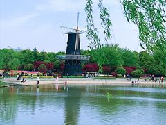 -上海鲜花港