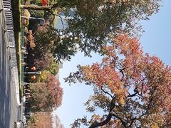 -南京市规划建设展览馆
