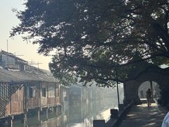 -乌镇东栅景区