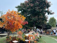 -HERRE·FARM 赫尔露营农场·团建聚会包场