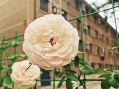 -山东大学(趵突泉校区)