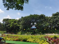 -广州长隆飞鸟乐园