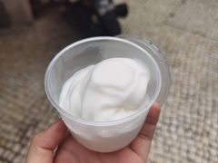 -洪馨椰子