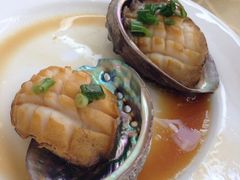 鲍鱼-海岛渔村大酒店(云霄路店)
