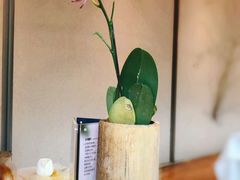 -若蘭慈·无国界素食料理(欢乐海岸店)