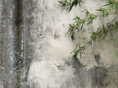 -艺圃