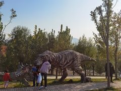 -西部长青自然儿童乐园