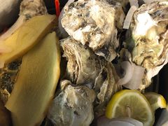 高压锅生蚝-湘江大码头·龙虾馆(渔人码头一店)
