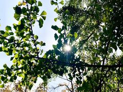 -四川大学(华西校区)