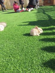 -萌宠亲子动物乐园(槐房万达店)