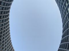 -凤凰中心