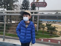 -自贡恐龙博物馆