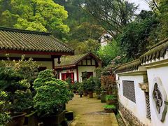 -南山植物园